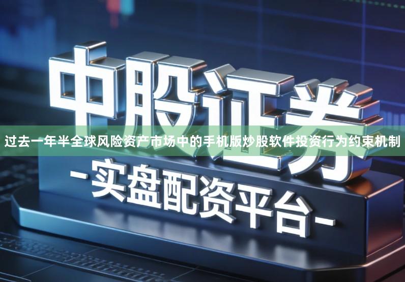 过去一年半全球风险资产市场中的手机版炒股软件投资行为约束机制