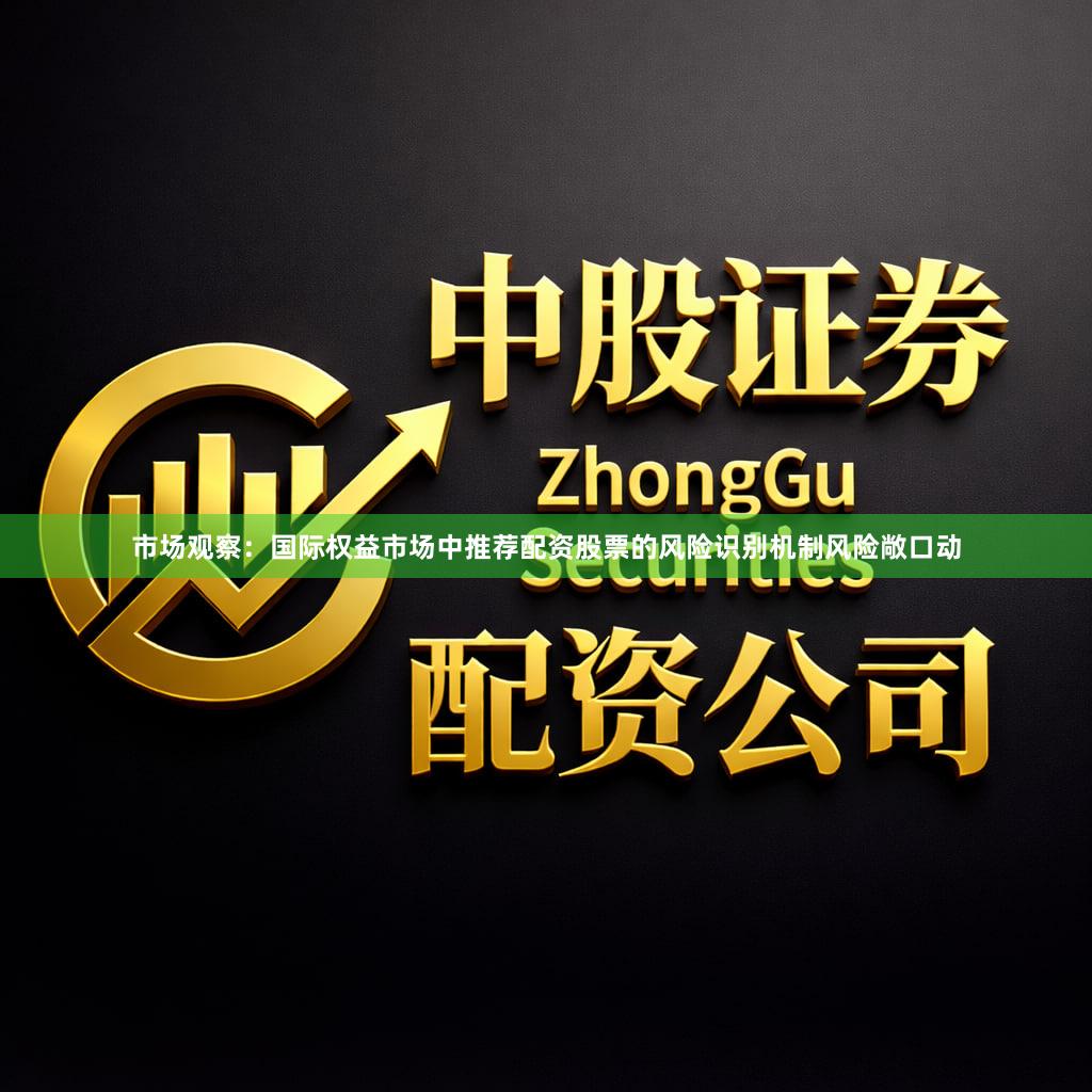 市场观察：国际权益市场中推荐配资股票的风险识别机制风险敞口动